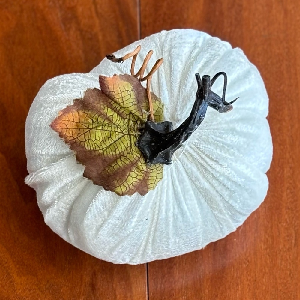 Cute Velvet Pumpkin Decor Set - Green, Gray, White Fall Harvest Thanksgiving - Picture 7 of 12